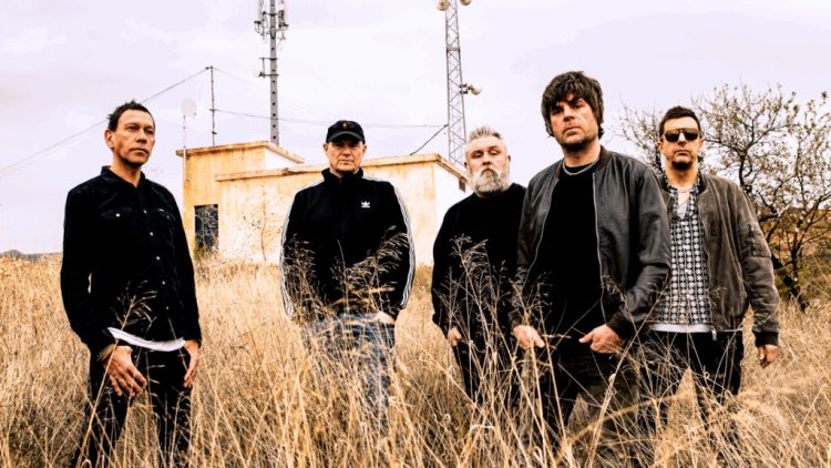 Shed Seven Had Biggest Show of Their Career In Manchester – A Look Back