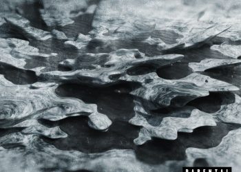 Rising from the Riff: How Alex Sandra is Redefining Metalcore with Radical Vulnerability